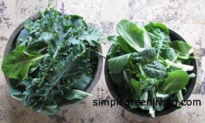 Colorado Greenhouse, February Produce, Gardening In Colorado, Winter Greenhouse, Herb Gardening, Greenhouse Gardening, Simple Green, Veggie Garden, Herb Garden