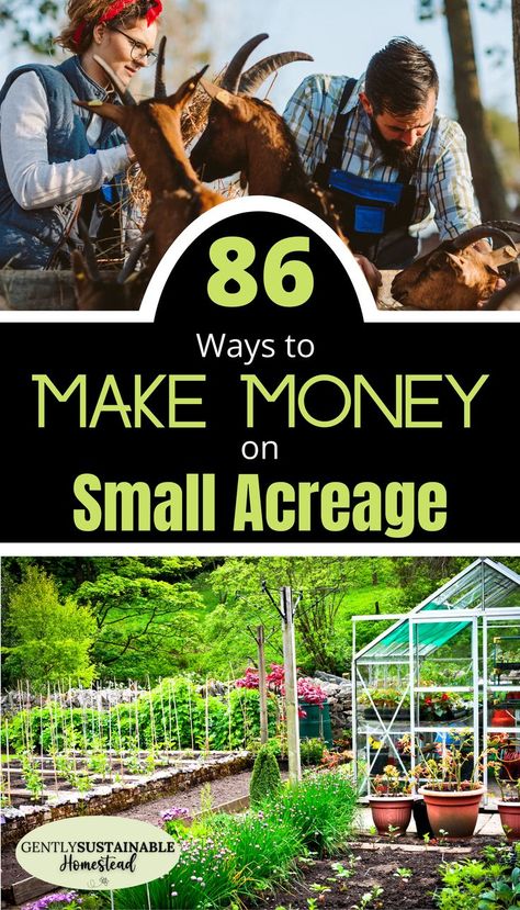 Make Money Homesteading, Homestead Garden Layout, Live Off Grid, Agriculture Photography, Sustainable Homestead, Micro Farm, Living Off Grid, Out Space, Modern Homesteading