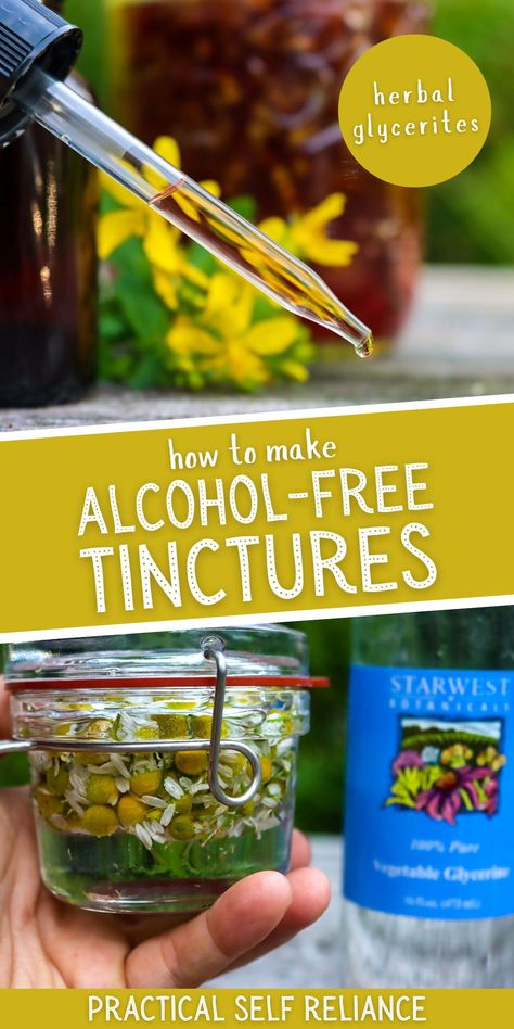 Herbal Tinctures Recipes, Herbalism Recipes, Tinctures Herbal, Herb Tinctures, Tinctures Recipes, Medicine Recipes, Herbal Medicine Recipes, Home Apothecary, Diy Herbal Remedies