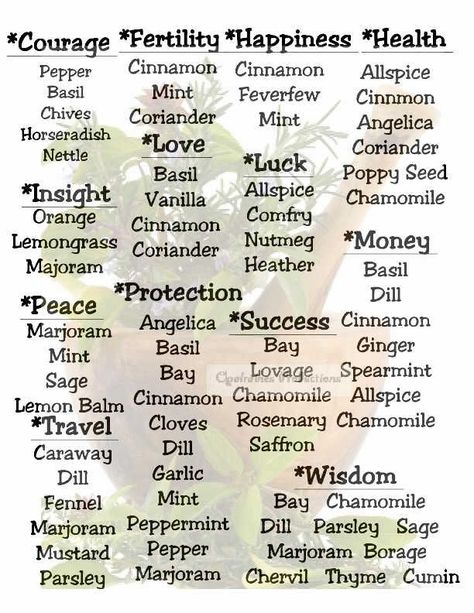 #Wicca #witchcraft #pagan #witch #witchy #magick #grimoire #herbs #herbmagick #witchery Herb Meanings, Witchcraft Meaning, Wicca Herbs, Witchcraft Herbs, Magickal Herbs, Witch Herbs, Green Witchcraft, Magia Das Ervas, Spell Jars