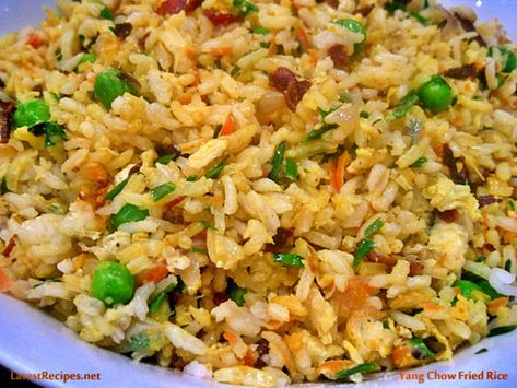 Yang Chow Fried Rice Fish Gumbo, Young Chow Fried Rice, Yang Chow Fried Rice, Easy Cakes To Make, Garlic Fried Rice, Egg Fried Rice, Cajun Dishes, Chinese Cooking Recipes, Pork Ham