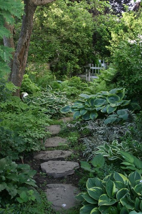 AHHH - such a beautiful shade garden Shade Garden Design, Hosta Gardens, Shade Perennials, Garden Shrubs, Stone Path, Have Inspiration, Woodland Garden, Front Yard Garden, Garden Pathway