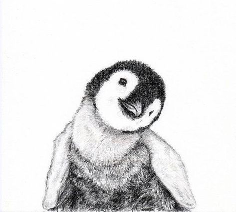 Easy Pencil Drawings, Penguin Tattoo, Penguin Drawing, Baby Animal Drawings, Penguin Art, Pencil Drawings Easy, Baby Animal Prints, Baby Penguins