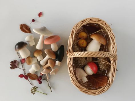 Moon Picnic Forest Mushrooms Basket – Rose & Rex Picnic Instagram, Baby Toy Ideas, Wooden Mushrooms, Diy Sensory Board, Baby Wooden Toys, Manifest Life, Forest Mushrooms, Play Props, Diy Sensory