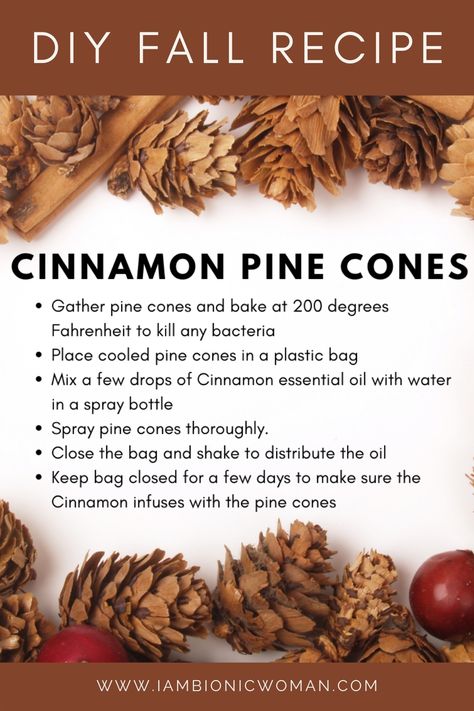 cinnamon pinecones Natal, Pine Cone Crafts, Diy Cinnamon, Potpourri Recipes, Cinnamon Essential Oil, Fall Recipe, Cones Crafts, Holiday Crafts Christmas, Mom Christmas