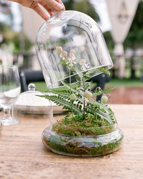 Terrarium Wedding Centerpiece, Terrarium Centerpiece, Terrarium Wedding, Martha Weddings, Zoo Wedding, Family Style Dinner, Low Centerpieces, Rustic Wedding Centerpieces, Martha Stewart Weddings