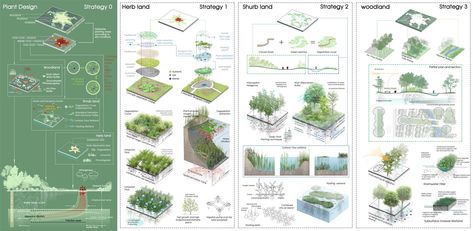 Cell Growth Dish – Brownfield Landscape Ecological Restoration Design | ASLA 2022 Student Awards Landscape Diagram, Landscape Architecture Diagram, Architecture Drawing Presentation, Presentation Board Design, Urban Design Concept, Ecology Design, Concept Models Architecture, Architecture Concept Diagram, Cell Growth