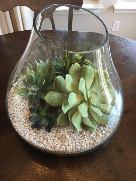 Succulent terrarium in glass vase Succulent Terrarium, Terrarium, Succulent, Glass Vase, Cactus, Vase, Plants, Glass, Flowers