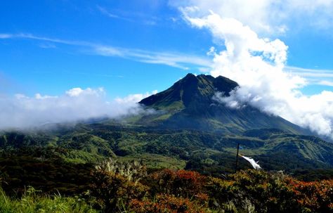 Mount Apo Philippines, Mount Apo, Mt Apo, School Reference, Kinds Of Animals, Asia Continent, Mughal Paintings, Sea To Summit, Davao