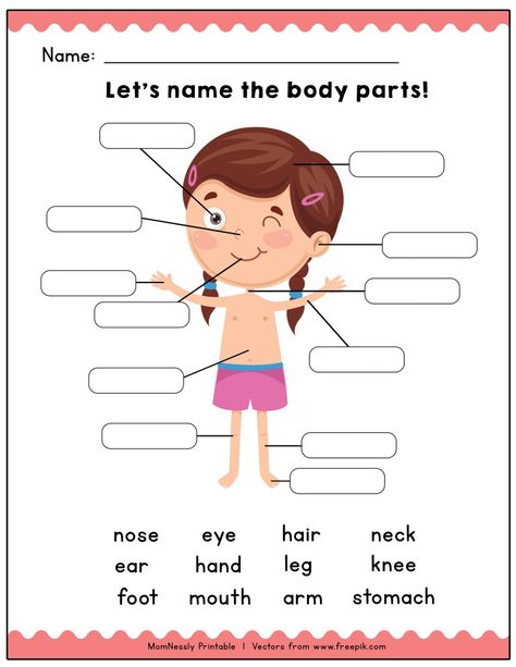 Printable: Identify the Body Parts Learning Worksheets - https://tribobot.com Teaching English To Kids Kindergartens, Body Parts Worksheet, Rozpoznawanie Liter, Kertas Kerja Prasekolah, Body Parts For Kids, Human Body Worksheets, Body Preschool, Body Parts Preschool, English Activities For Kids