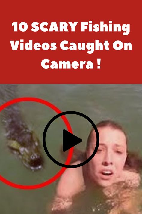 10 Scary Fishing Videos Shark Videos Scary Creepy, Creepy Things Caught On Camera, Scary Ocean Videos, Funny Scary Videos, Scary Funny Videos, Shark Videos, Things Caught On Camera, Scary Shark, Giant Anaconda