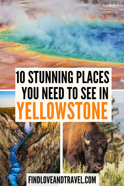 Planning a trip to Yellowstone National Park? Make sure you add these top 10 attractions to your Yellowstone National Park itinerary which include incredible landscapes, waterfalls, and wildlife! Yellowstone National Park travel | Yellowstone itinerary | best things to do in Yellowstone | Yellowstone top attractions | what to do in yellowstone Yellowstone National Park Itinerary, Yellowstone Photography, Yellowstone Itinerary, Things To Do In Yellowstone, Yellowstone National Park Vacation, Wyoming Vacation, National Park Itinerary, Yellowstone Vacation, Yellowstone Trip