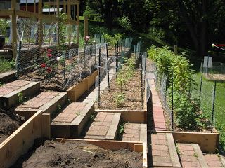 For years we have struggled with the steep hillside at the back of our property. The previous owner had established a flower garden on the... Garden With Steps, Terraced Vegetable Garden, Terraced Garden, Sloped Backyard Landscaping, Hydrangea Petiolaris, Terraced Landscaping, Terraced Backyard, Hillside Garden, Sloped Backyard