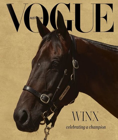 Vogue Australia on Instagram: “In celebration of champion horse #Winx’s record-breaking 33rd consecutive win today at the @Longines Queen Elizabeth Stakes Day at Royal…” Stakes Day, First Horse, Winter Horse, Horse Therapy, Thoroughbred Horse Racing, Sport Of Kings, Equestrian Lifestyle, Most Beautiful Animals, Thoroughbred Horse