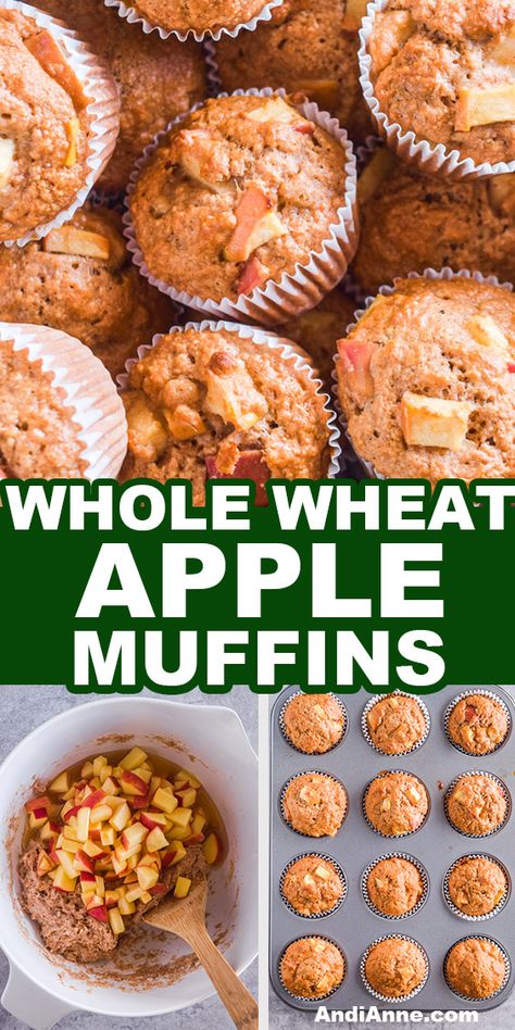 These Whole wheat apple muffins are made using sweet apples, cinnamon, honey, and whole wheat flour making a hearty golden brown muffin. Heart Healthy Breakfast Muffins, Recipes That Use Whole Wheat Flour, Wheat Breakfast Recipes, Whole Wheat Apple Bread, Whole Wheat Muffins Healthy, Whole Wheat Baked Goods, Whole Wheat Flour Dessert Recipes, Whole Wheat Recipes Baking, Whole Wheat Apple Muffins