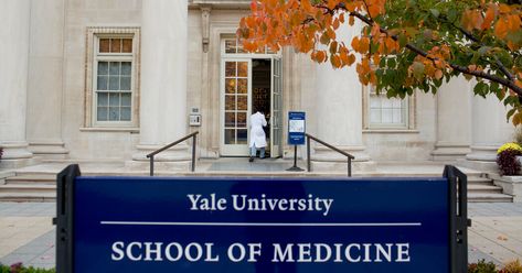 Former Yale Official Admits to $40 Million Fraud Scheme - The New York Times Medicine Student, Biomedical Engineering, School Leader, Dream School, Yale University, Med School, White People, School Of Medicine, Medical School