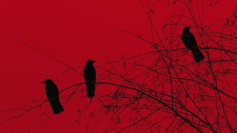 Amazing , Red , Black , Tree , Crow , Fantasy , Sky , Raven , Grunge Black, Red Black Tree, Fantasy Sky, Black Tree, Red Aesthetic, Dark Side, We Heart It, Birds, Red