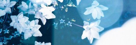 Light Blue Banner, Blue Twitter Header, Flower Header, 트위터 헤더, Rainy Wallpaper, Facebook Header, Cute Twitter Headers, Twitter Backgrounds, Cute Headers For Twitter