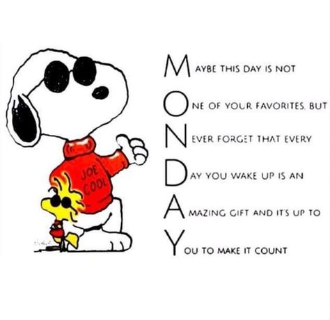 Monday Snoopy, Peanuts Quotes, Charlie Brown Quotes, Happy Monday Quotes, Today Is Monday, Good Morning Snoopy, Weekday Quotes, Snoopy Funny, Snoopy Images