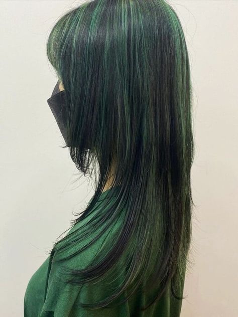 black hair with green highlights Black With Dark Green Highlights, Black Hair Coloured Streaks, Black With Green Highlights Hair, Turquoise Highlights On Black Hair, Green And Black Chunky Highlights, Green Hair With Black Highlights, Blue And Green Highlights In Black Hair, Colored Hair With Black, Black And Green Hair Aesthetic