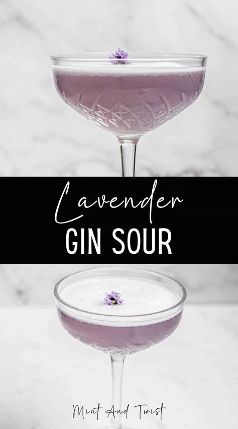 This pretty lavender gin sour cocktail is flavored with homemade honey and lavender syrup. This lavender gin sour is made with gin and citrus. The addition of lavender adds delicious floral flavors to the cocktail. Gin Sour Recipe, Lavender Gin, Honey And Lavender, Classic Gin Cocktails, Lavender Cocktail, Lemon Juice Uses, Honey Simple Syrup, Spring Cocktails Recipes, Gin Sour