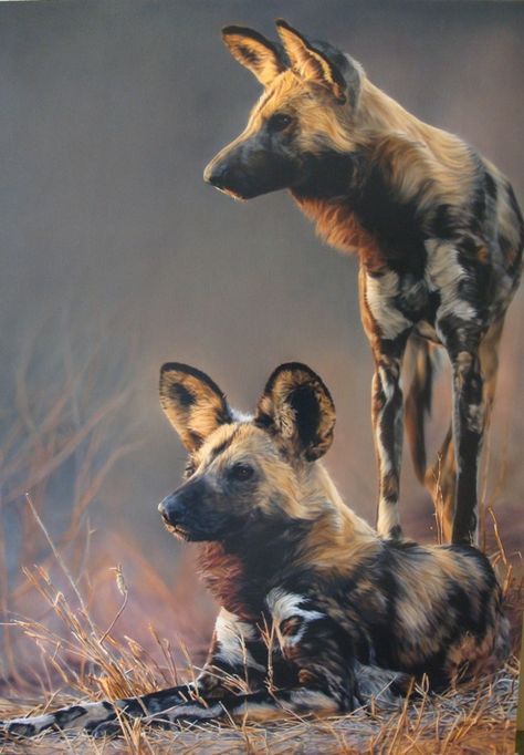 Africa Wildlife, Wild Dog, African Wild Dog, Into The Wild, Wild Dogs, African Wildlife, Wildlife Animals, African Animals, Dog Paintings