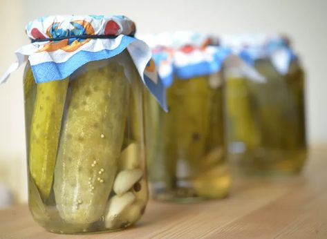 Polish Dill Pickles {Ogórki Konserwowe} - Polish Your Kitchen Polish Pickles Recipe, Polish Meatballs, Pickle Soup, Canned Meats, Canning Pickles, Spicy Pickles, Dill Pickles, Pickled Vegetables, Pickle Jars