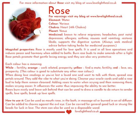 Rose Image Roses Magical Properties, Tumeric Magickal Properties, Magical Properties Of Vanilla, Rose Petals Magical Properties, Rose Magical Properties, Rose Properties, Herb Properties, Rose Herb, Herbs For Protection