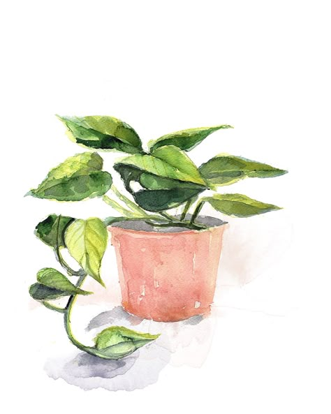 Watercolor Pothos Plant Print Minimalist Art, Modern Art, Potted Plant, Boho Wall Decor - Etsy Easy Plant Watercolor Paintings, Art Boho Painting, House Plants Art, Potted Plant Watercolor, House Plant Watercolor, Pothos Watercolor, Watercolor Inspo Aesthetic, Watercolor Pothos, Watercolor Plant Paintings