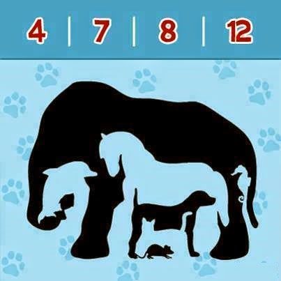 Picture Puzzles Brain Teasers, Mind Games Puzzles, Puzzle Games Brain Teasers, Math Riddles Brain Teasers, Reto Mental, Hidden Picture Puzzles, Brain Teasers Riddles, Funny Puzzles, Brain Teasers For Kids