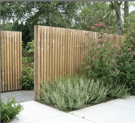 Funny Vine, Narrow Path, Wooden Gates, Have Inspiration, Wooden Fence, Courtyard Garden, Fence Design, Garden Fence, Back Garden