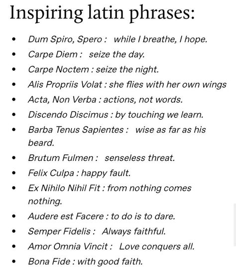 One Sided Pining Prompts, Pretty Latin Phrases, Inspiring Latin Phrases, Pretty Phrases In English, Deep Latin Phrases, Wiccan Phrases, Latin Phrases Worth Knowing, Latin Bio Ideas, Unique Latin Words