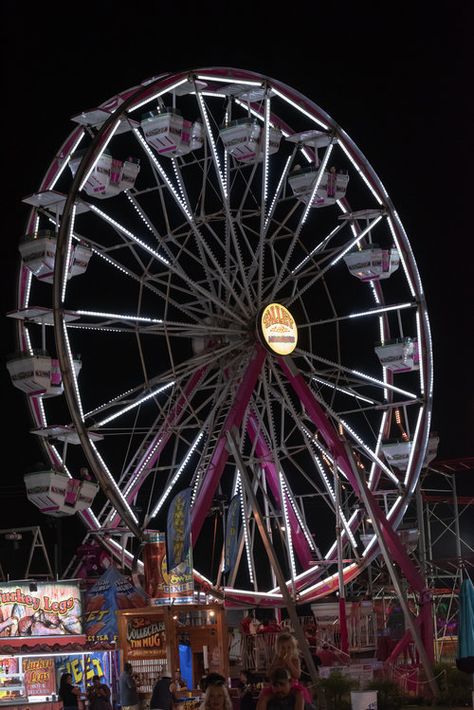 Photoset: North Texas Fair and Rodeo 2018 — THE DENTONITE Art, Texas, Texas Fair, Image Layout, North Texas, Rodeo, Quick Saves