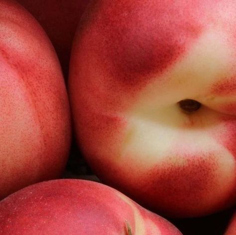 Michelle Patrick Photography on Instagram: "White flesh nectarines. #nectarine #nectarines #food #fruit #harvest #stilllife" Fruit Harvest, Spring Palette, Instagram White, Food Fruit, Nectarine, Still Life, Fruit, Photography, Pink