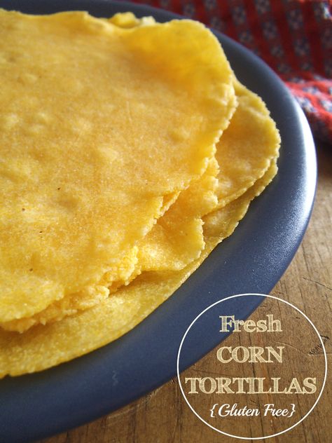 Cornmeal Tortillas Recipe, Cornmeal Tortillas, Make Corn Tortillas, Gluten Free Tortillas Recipe, Corn Tostadas, Recipes Using Flour, Gluten Free Corn Tortillas, Healthy Flatbread, Cornmeal Recipes