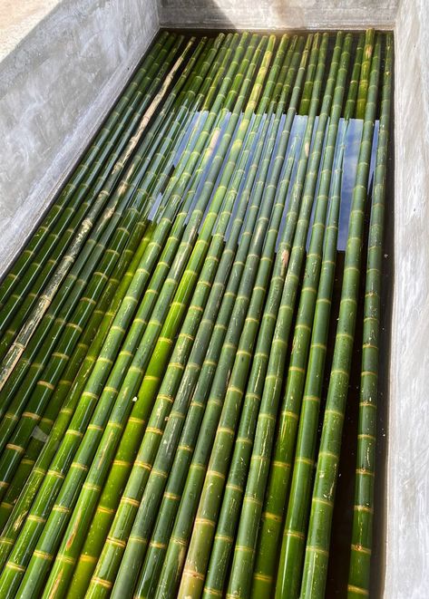 Bamboo Factory Colombia Bamboo Restaurant, Bamboo Ideas, Weaving Diy, Basket Weaving Diy, Bamboo Structure, Bamboo Products, Bamboo Architecture, Bamboo Decor, Bamboo Poles