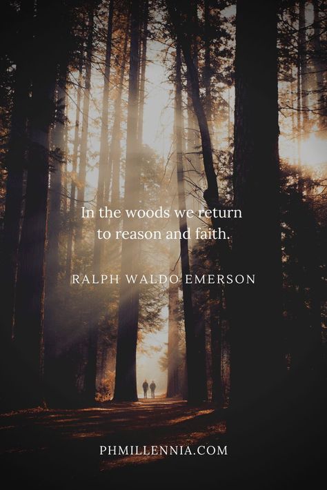 In To The Woods Quotes, Forest Captions, The Woods Quotes, Woods Quote, Wood Quotes, Forest Quotes, Into The Woods Quotes, Emerson Quotes, Historical Quotes