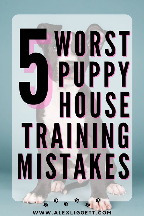 Puppy house training | puppy house training schedule | puppy house training tips | puppy house training regression | puppy house training new | puppy house training chart | puppy house training apartment Puppy House Training, Puppy Proofing House, Foster Dog Quotes, Potty Training Schedule, Feeding Puppy, Foster Puppies, Puppy Training Schedule, Dog Mom Quotes, Puppy Quotes