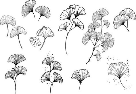 Ginkgo Tattoo Set Vector (EPS, SVG) Ginko Leaf Tattoos Meaning, Ginkgo Leaf Tattoo Meaning, Ginko Leaf Tattoos Design, Ginkgo Drawing, Ginkgo Leaves Tattoo, Ginko Leaves Tattoos, Botanical Tattoo Men, Ginko Leaf Design, Ginko Leaf Tattoo