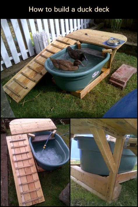 Duck Habitat, Duck Enclosure, Duck Pool, Duck Pens, Backyard Ducks, Duck Coop, Raising Ducks, Deck Backyard, Pet Ducks