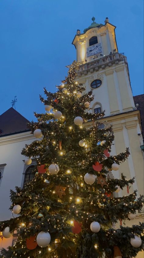 A big pretty Christmas tree infront of a beautiful building Bratislava, Vienna, Vision Board, Christmas Tree, Christmas, Natal