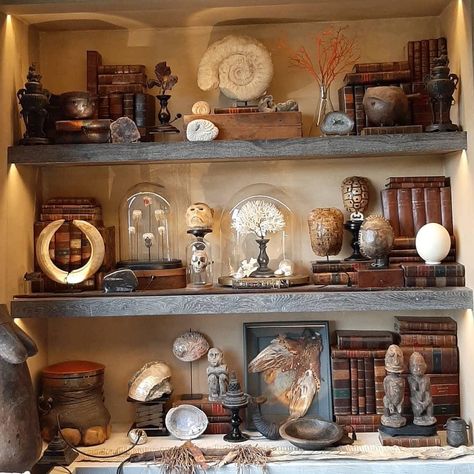 Room Of Curiosities, Wall Of Curiosities, Cabinets Of Curiosities, Naturalist Decor, Cabinet Of Curiosity, Witch Room, Bookcase Decor, Cabinet Of Curiosities, Curio Cabinet