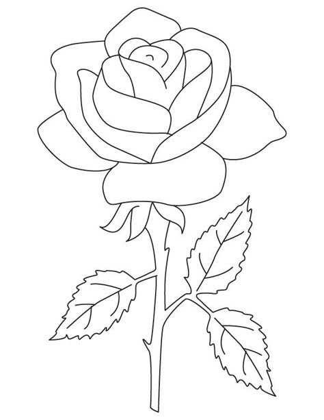 Rose rose rose coloring page Rose Coloring, Rose Outline, Rose Coloring Pages, Bahasa Jepun, Roses Drawing, Pola Sulam, Flower Coloring Pages, Flower Template, Coloring Pages To Print