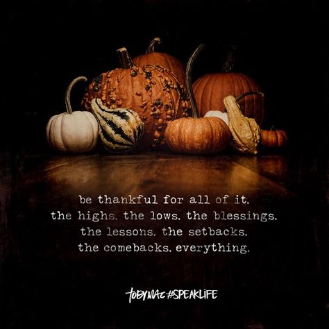 Be thankful for all of it. The highs. The lows. The blessings. The lessons. The setbacks. The comebacks. Everything. Week Of Thanksgiving Quotes, This Thanksgiving Quotes, Happy Thanksgiving Quotes Inspirational, Thanksgiving Week Quotes, Thankful Thanksgiving Quotes, Thankgiving Quotes, Thanksgiving Quotes Thankful, Thanksgiving Quotes Inspirational, Holiday Memes