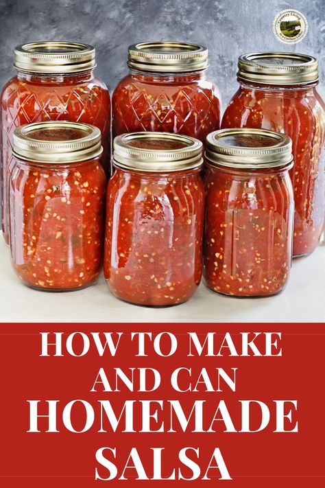 Best Chunky Salsa Recipe, Homemade Chunky Salsa, Chunky Salsa Recipe, Canning Homemade Salsa, Salsa Canning Recipes, Best Salsa Recipe, Dairy Free Dips, Best Salsa, Savory Pies Recipes