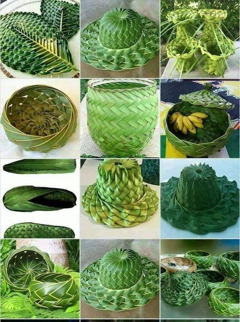 Palm Frond Art, Basket Weaving Diy, Coconut Leaves, Aromatic Plant, Leaf Crafts, Leaf Decor, Banana Leaf, Leaf Art, Types Of Flowers