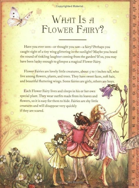 Fairy Quotes, Seni Vintage, Elves And Fairies, Fairy Pictures, Cicely Mary Barker, Vintage Fairies, Fairies Elves, Backyard Fire, Fairy Book