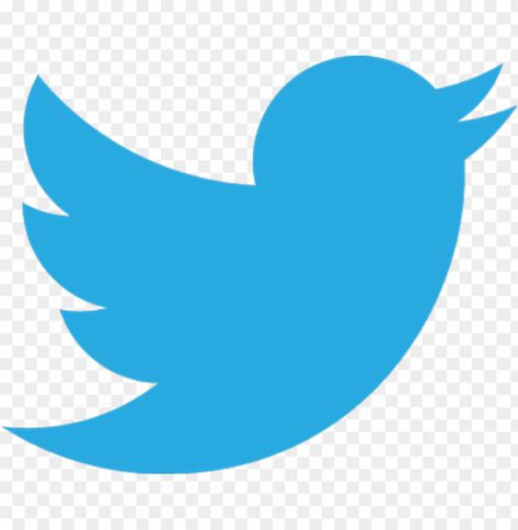 Twitter Logo Png, Twitter Icon Aesthetic, Twitter Icon Png, Twitter Png, Logo White Background, Blue Twitter Header, New Instagram Logo, Student Images, Logo Motion