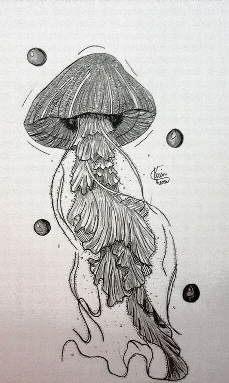 Mushrooms Drawings, Mushroom Drawing, Jellyfish, Stuffed Mushrooms, Bubbles, Humanoid Sketch, Drawings, Quick Saves, Art