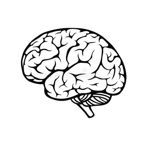 Human brain. Vector outline illustration of human brain on white background , #Affiliate, #Vector, #outline, #Human, #brain, #white #ad Human Brain Drawing, Brain Pictures, Brain Vector, Brain Icon, Brain Drawing, Brain Tattoo, Brain Illustration, Brain Images, Brain Logo